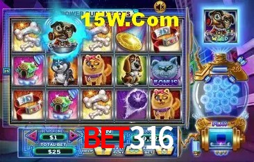 bet316 casino